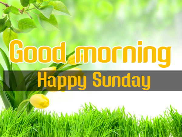 Sunday Good Morning Wishes Wallpaper HD