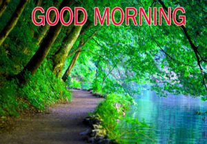 Nature Good Morning Images pictures pics hd