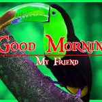 Nature Good Morning Wishes Pics Download