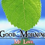 Nature Good Morning Wishes Pics New Download