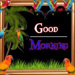 Nature Good Morning Wishes Images Collection