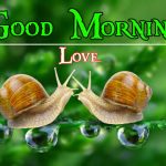 Nature Good Morning Wishes Pics Wallpaper Download