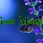 Nature Good Morning Wishes pics Download