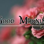 New Free Nature Good Morning Wishes Images Download