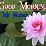 Flower Nature Good Morning Wishes Pics Images Download