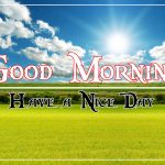 Free Nature Good Morning Wishes Pics Download