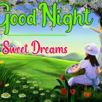 Good Night Wishes Images 10
