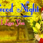 Good Night Wishes Images 100