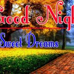 Good Night Wishes Images 32