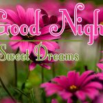 Good Night Wishes Images 33