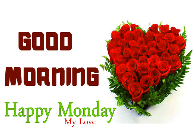 Monday Good Morning Wisehs Images With Rose