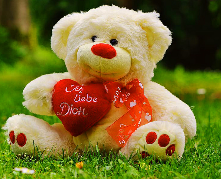 teddy bear Images 9
