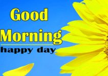 Good Morning Sunflower Images HD