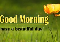 Latest Good Morning Images For Whatsapp Free Download