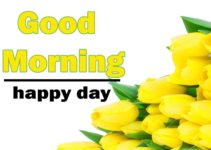 Flower Good Morning Wallpaper Download