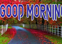Latest Good Morning Images HD Free Download
