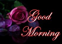 Cute Good Morning Images HD Download