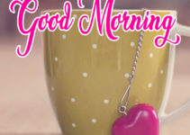 High Quality Good Morning Images HD Download