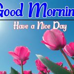 Free Flower Good morning Wallpaper Download