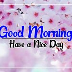 Flower Good morning Wallpaper Download