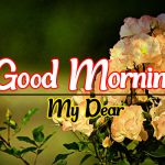 Best Flower Good morning Pics Download