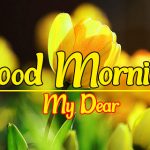 Flower Good morning Wallpaper Free Download