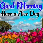 Top New good morning Pics Images Download