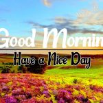 New Free good morning Pics Images Download
