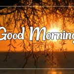 good morning Pictures Free