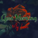 Best Morning Wishes Images With Red Rose Pics Download