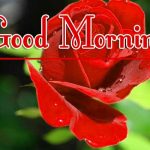 Morning Wishes Images With Red Rose Pics New Download