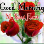 Morning Wishes Images With Red Rose Photo Download