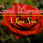 Morning Wishes Images With Red Rose Pic for Facebook