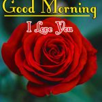 Morning Wishes Images With Red Rose Wallpaper Free