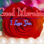 Morning Wishes Images With Red Rose Pics Free Download