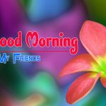 Flower Good morning pics Download