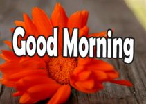 580+ Very Good Morning Images HD , Wallpaper 2023