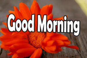 580+ Very Good Morning Images HD , Wallpaper 2023