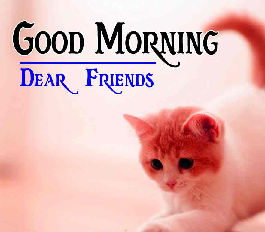 All Free Good Morning 4k HD Images HD Pic Download 