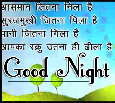 Beautiful Free Hindi Shayari Good Night Pics Download Free 