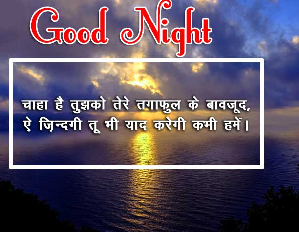 Beautiful Free Hindi Shayari Good Night Photo Download Free 