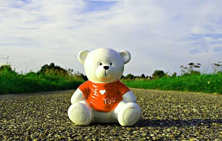 Teddy Bear 99