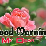 Flower Free good morning wallpaper pics Download