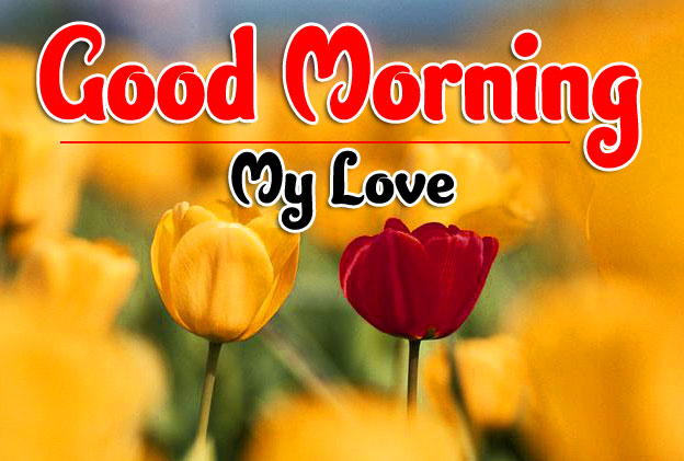 Beautiful Good Morning Images For Girlfriend 13