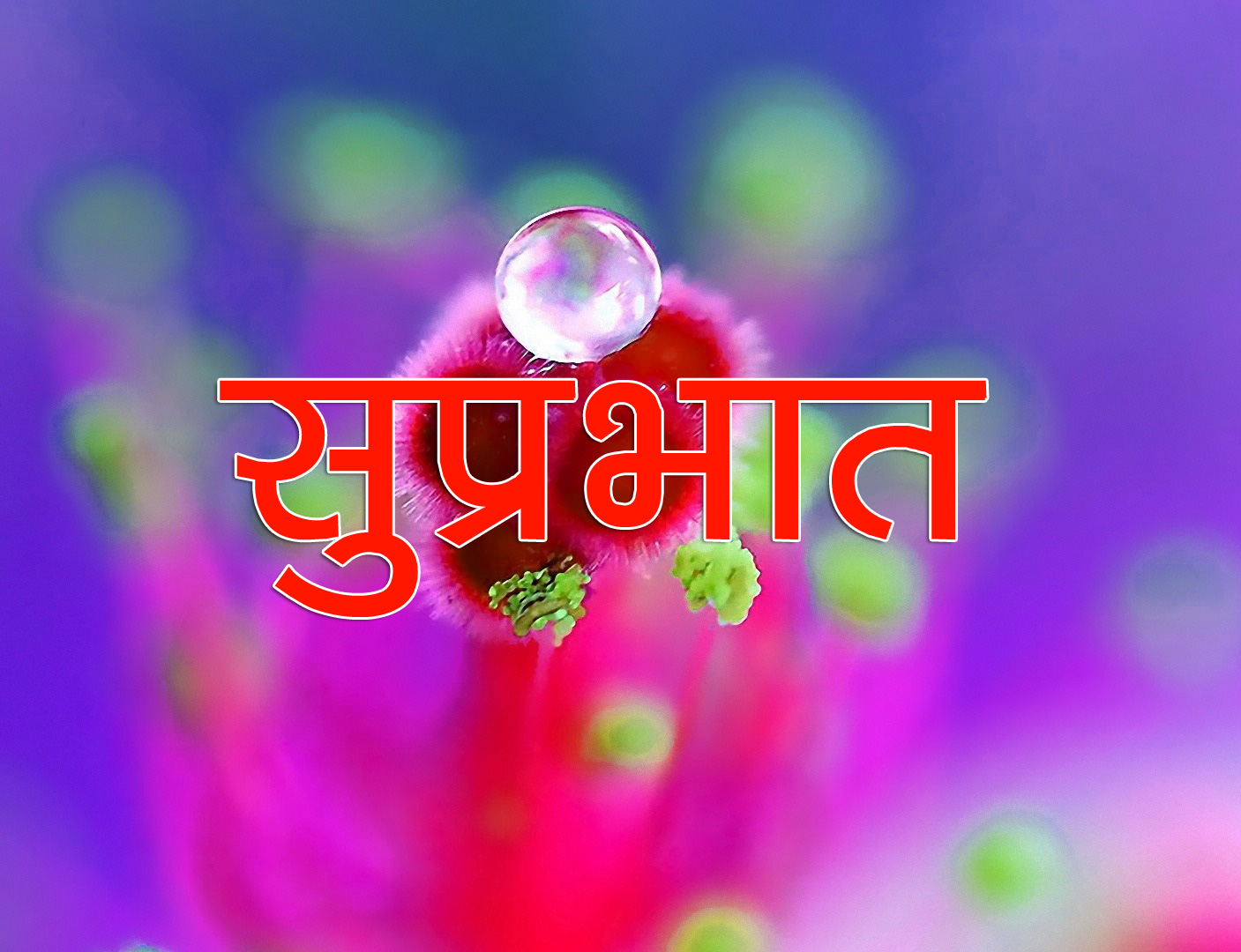 Flower Suprabhat Images 11