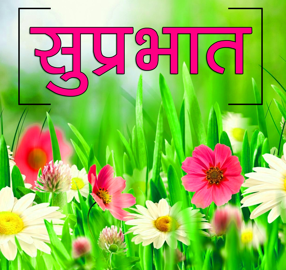 Flower Suprabhat Images 14