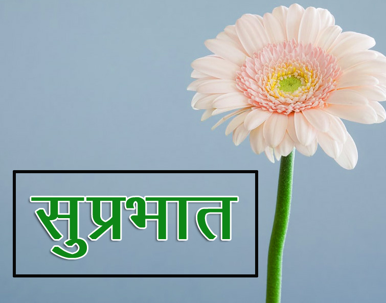 Flower Suprabhat Images 16