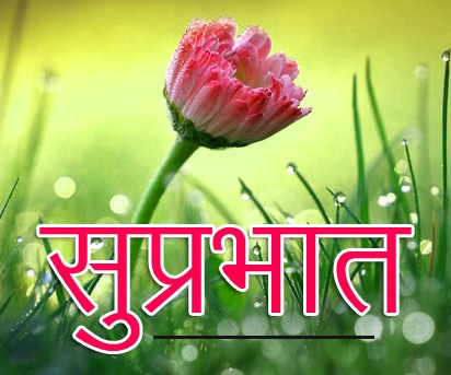 Flower Suprabhat Images 17
