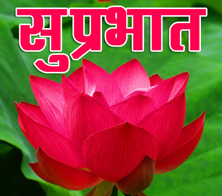 Flower Suprabhat Images 18