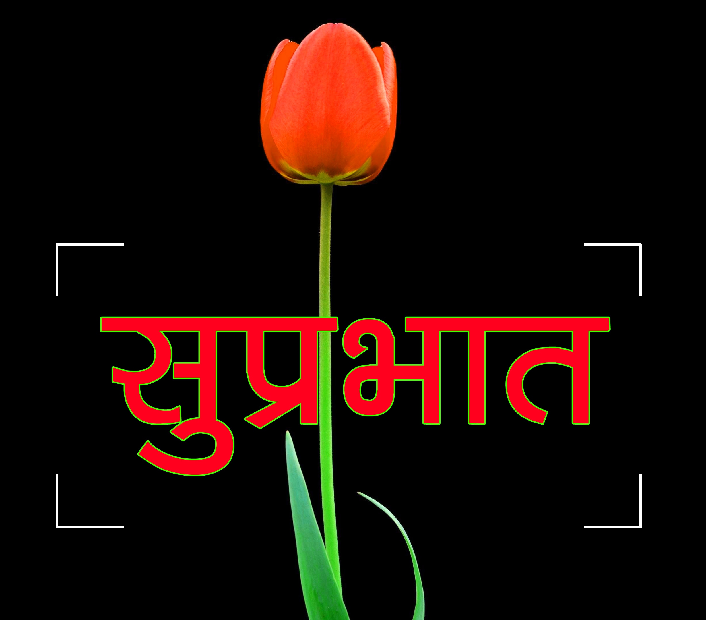 Flower Suprabhat Images 19